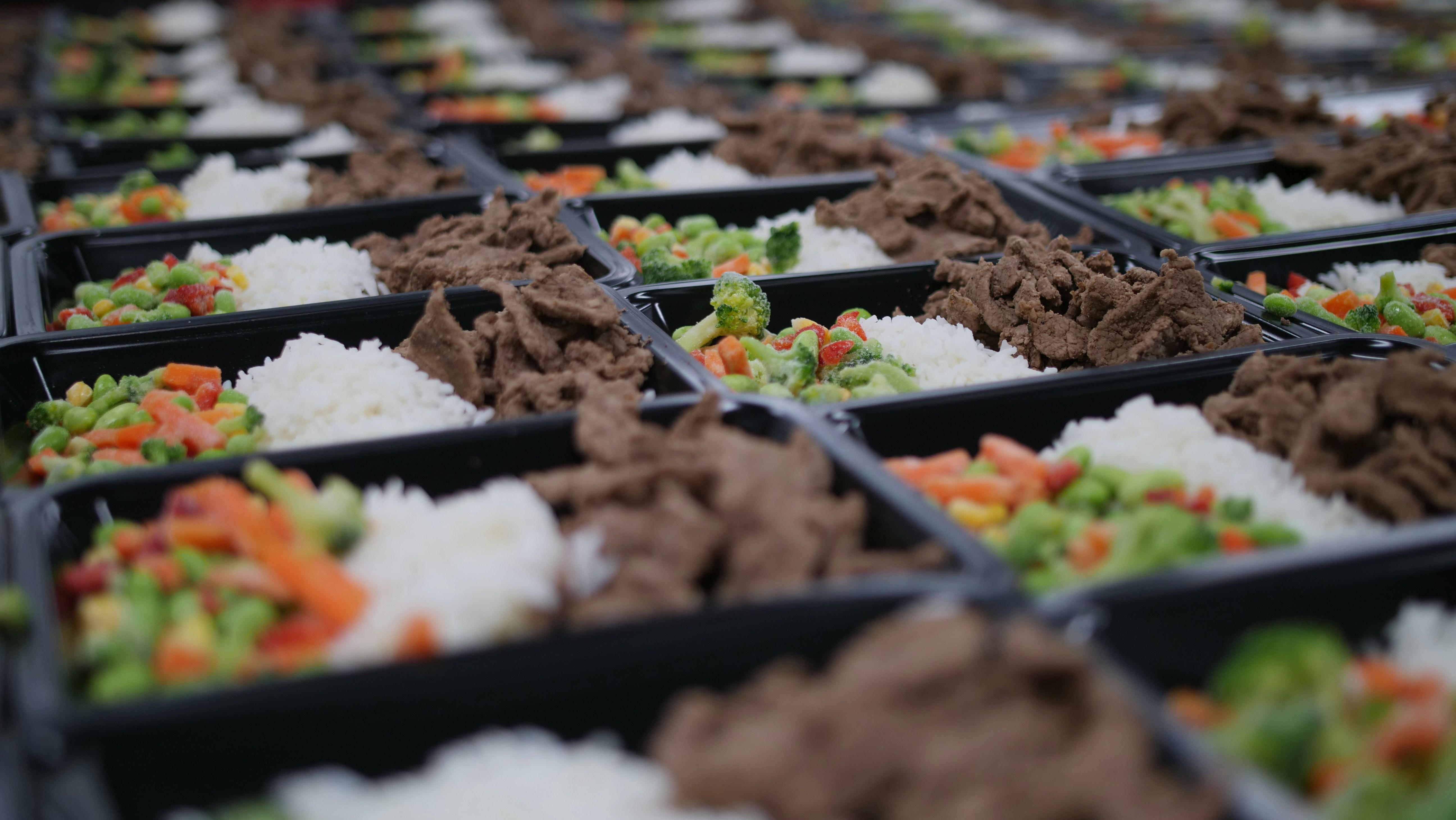 Rows of pre-prepped meals