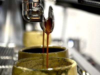 DDC café Provenza método elegir