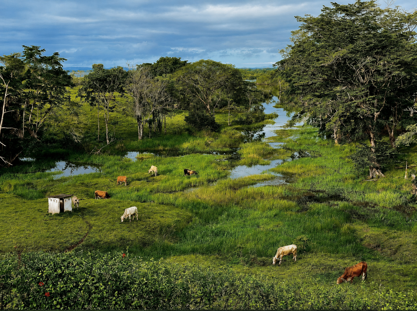 GatunCrocs Ranch