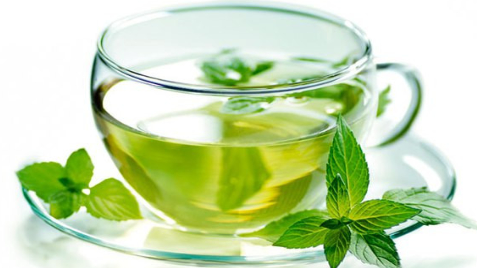 Apa saja manfaat Teh Hijau bagi kesehatan?