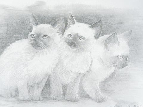 784027014.595385 C0rpsk