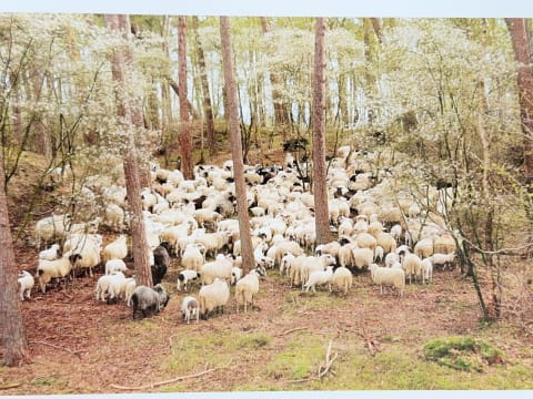 785064883.768368 Yhyz27