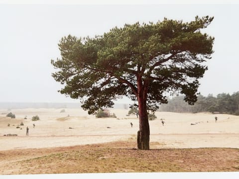 785064889.176281 Wxrtwd