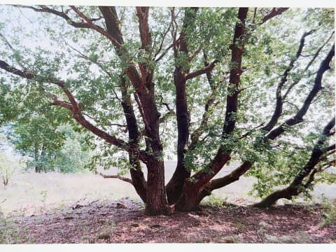 785064896.089086 Bcfee0