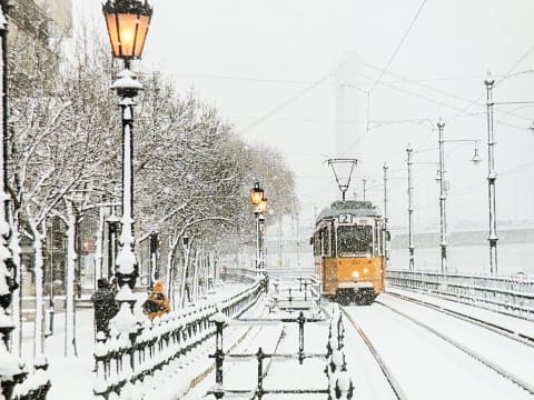 785065264.359015 Bth5ga