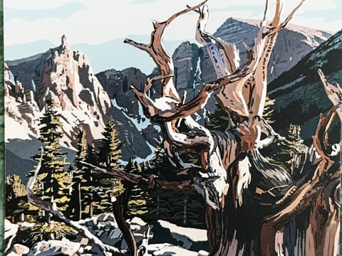 785065353.811552 U3p41h