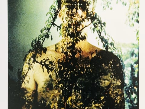 785065476.943428 Bmhj52