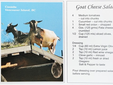 785066290.115875 Nm4olb