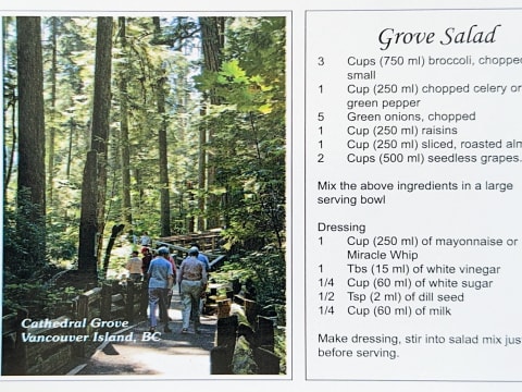 785066295.637843 Baoppd