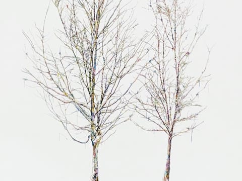 785163973.612138 Tyetro