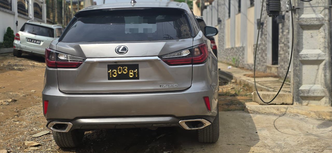 lexus rx_350 - 9