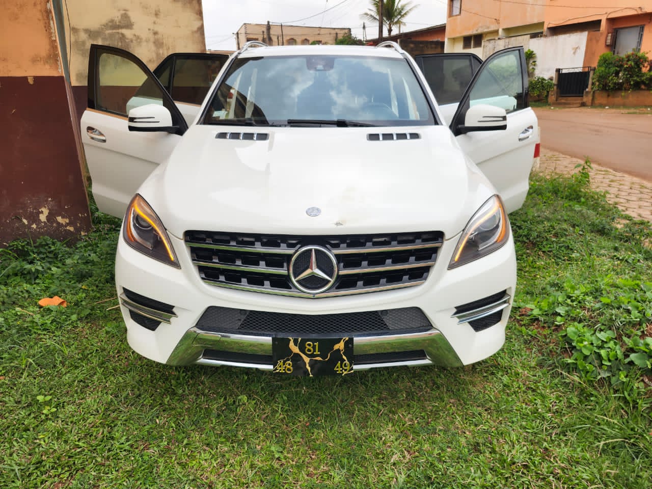 mercedes_benz ml - 6