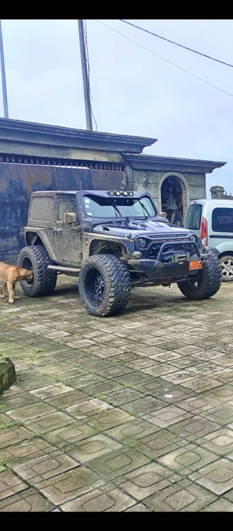 jeep wrangler - 6