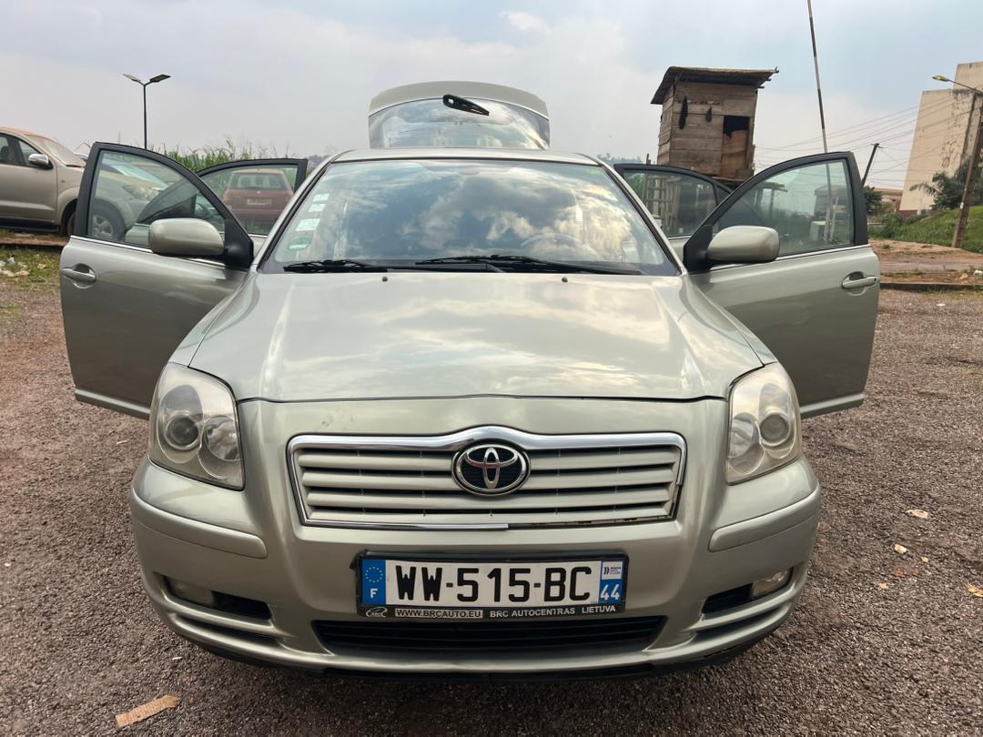 TOYOTA Avensis tête de cochon 2005