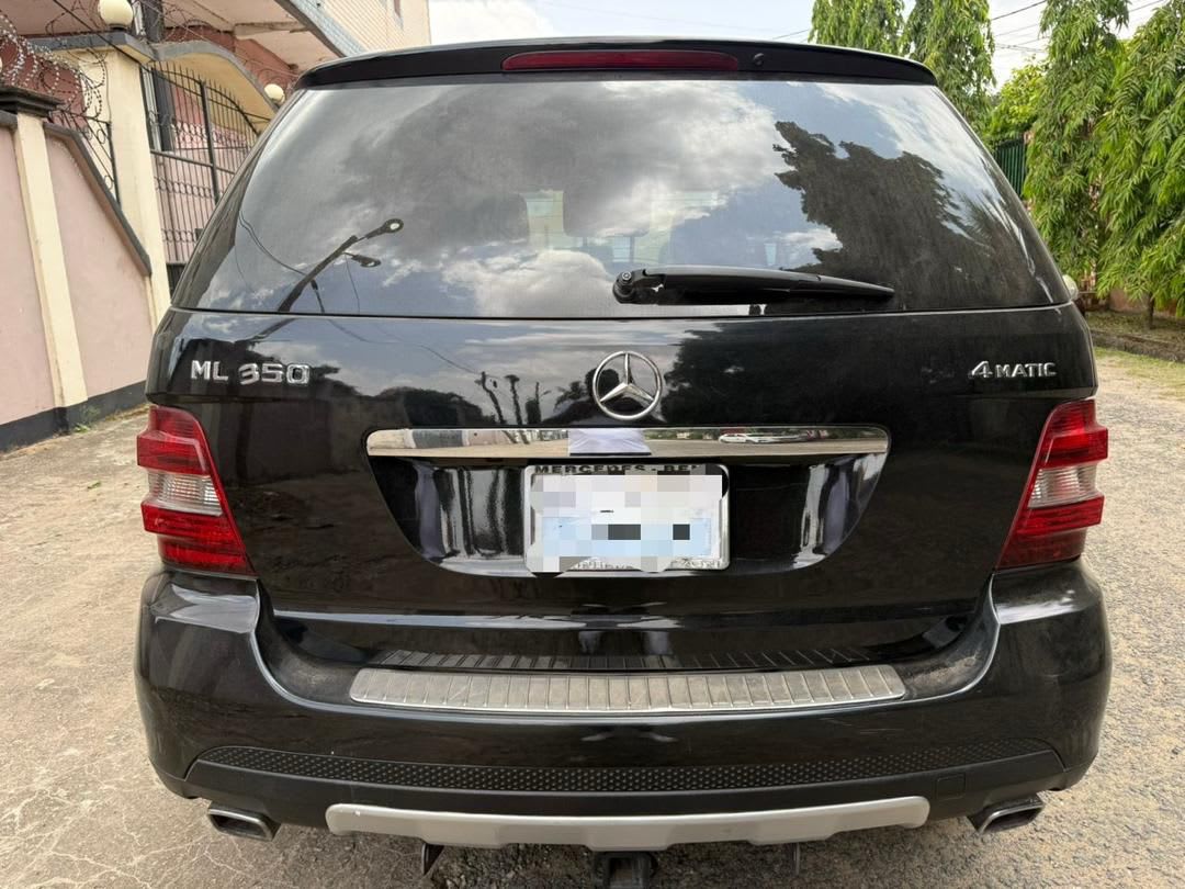 mercedes_benz ml - 6