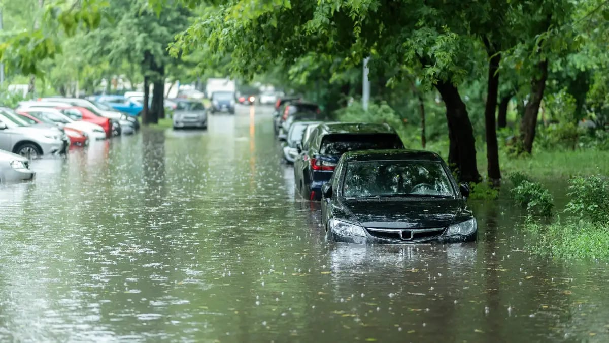 Comment repérer une "Voiture Inondée" : Le guide pour ne pas se faire arnaquer au Cameroun