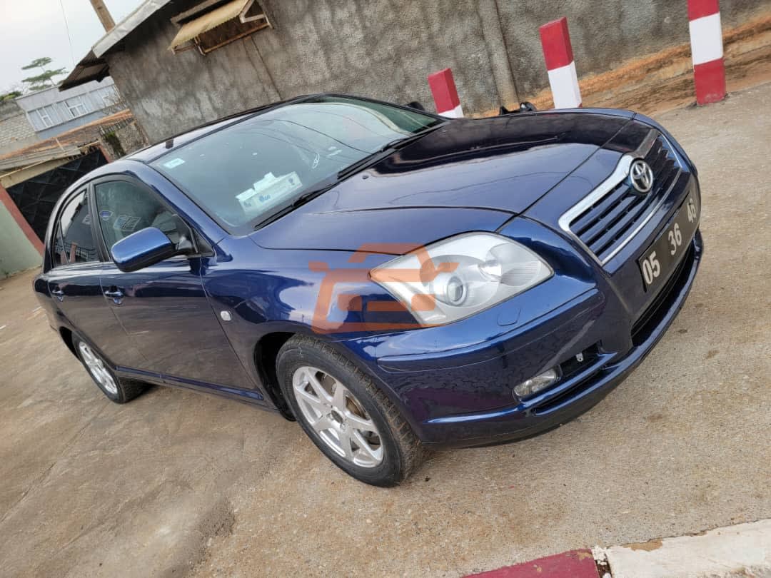 Toyota Avensis tête de cochon 2005