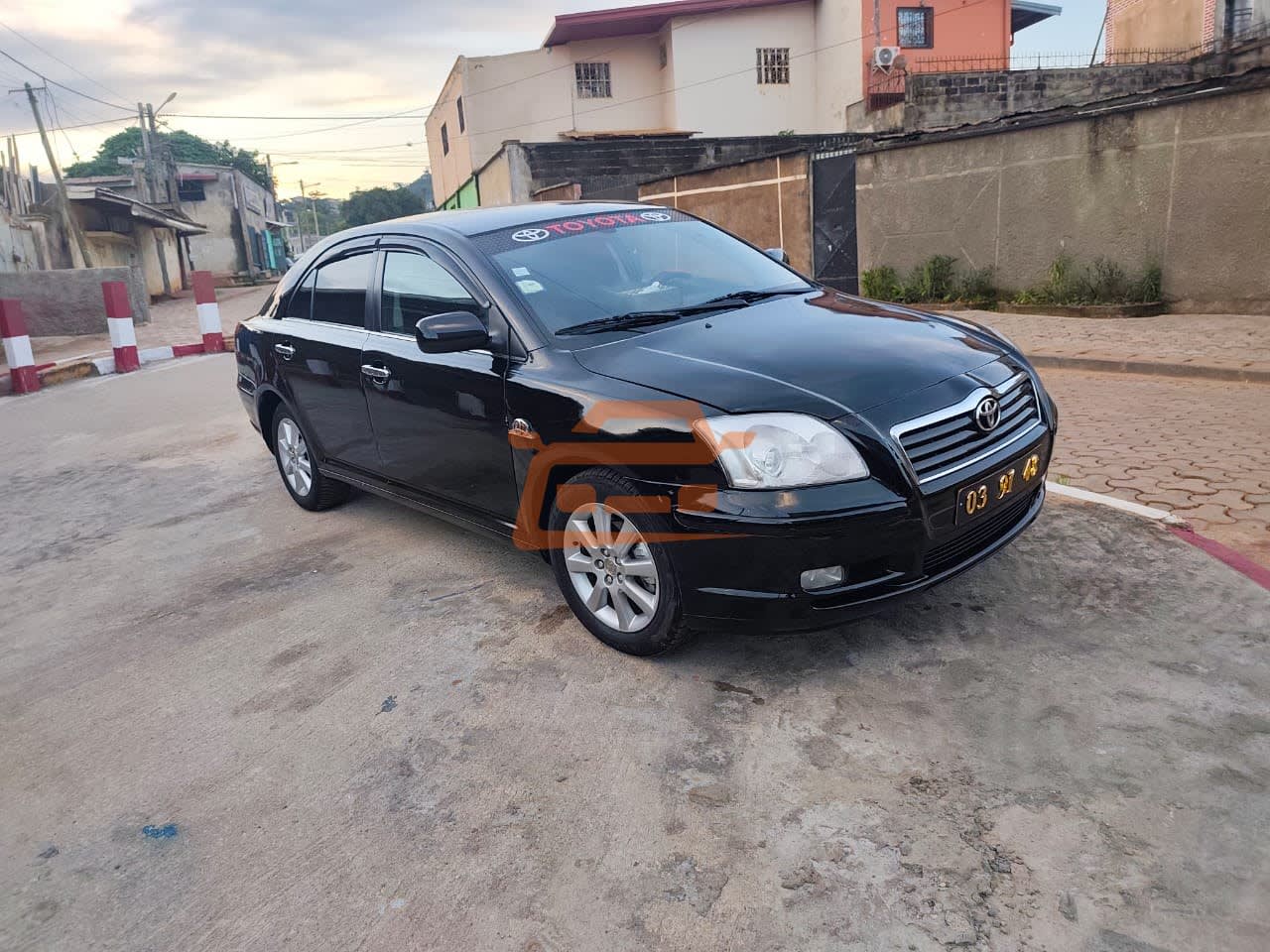 Toyota Avensis tête de cochon