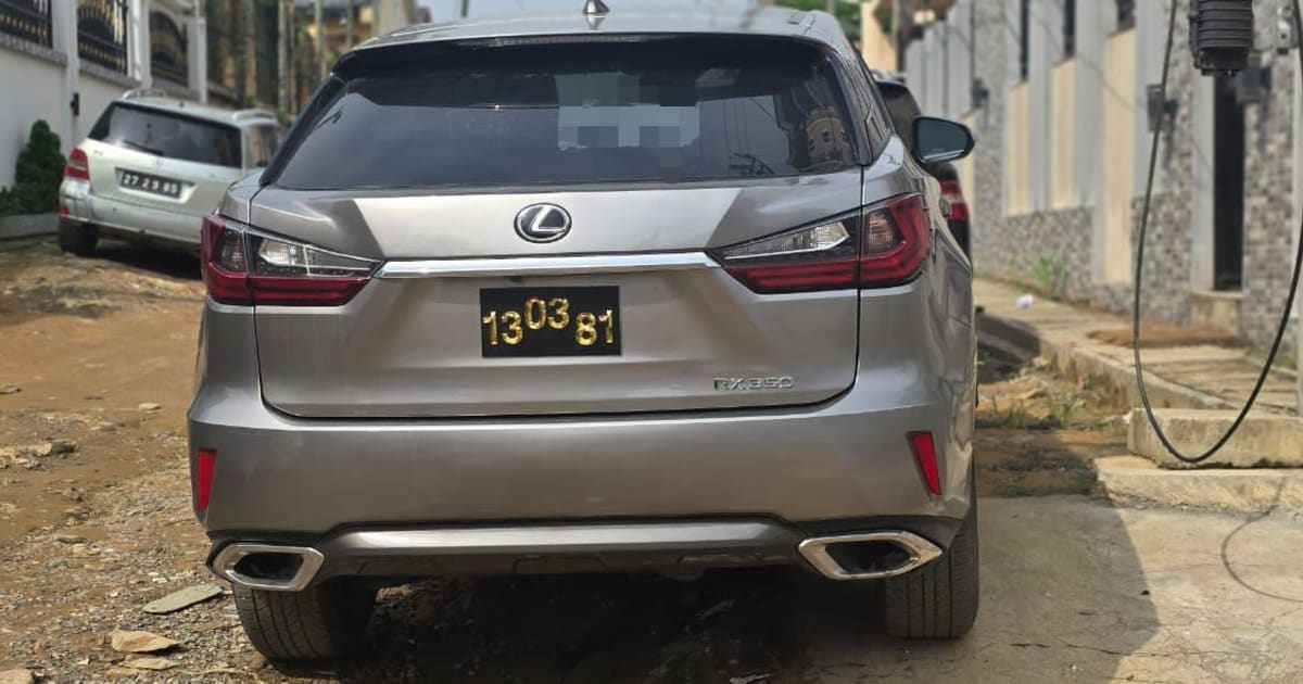 2020 Lexus Rx 350 à Douala — photo 9/9