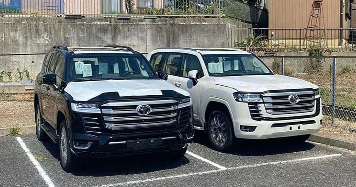Long-Term Car Rental in Cameroon: Lease or Buy a Vehicle for Your Business?
