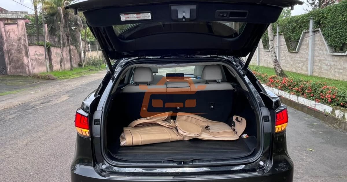 2021 Lexus Rx 450H à Douala — photo 8/9