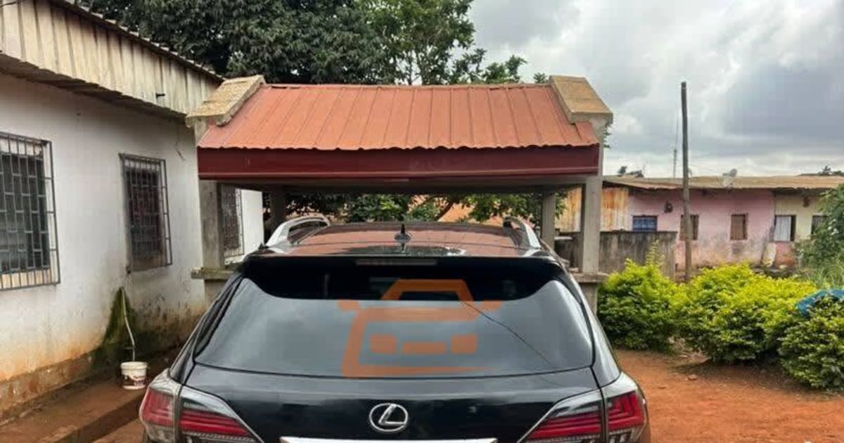 2024 Lexus Rx 350 à Douala — photo 6/9