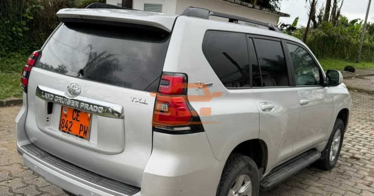 2015 Toyota Land Cruiser Prado à Douala — photo 4/5