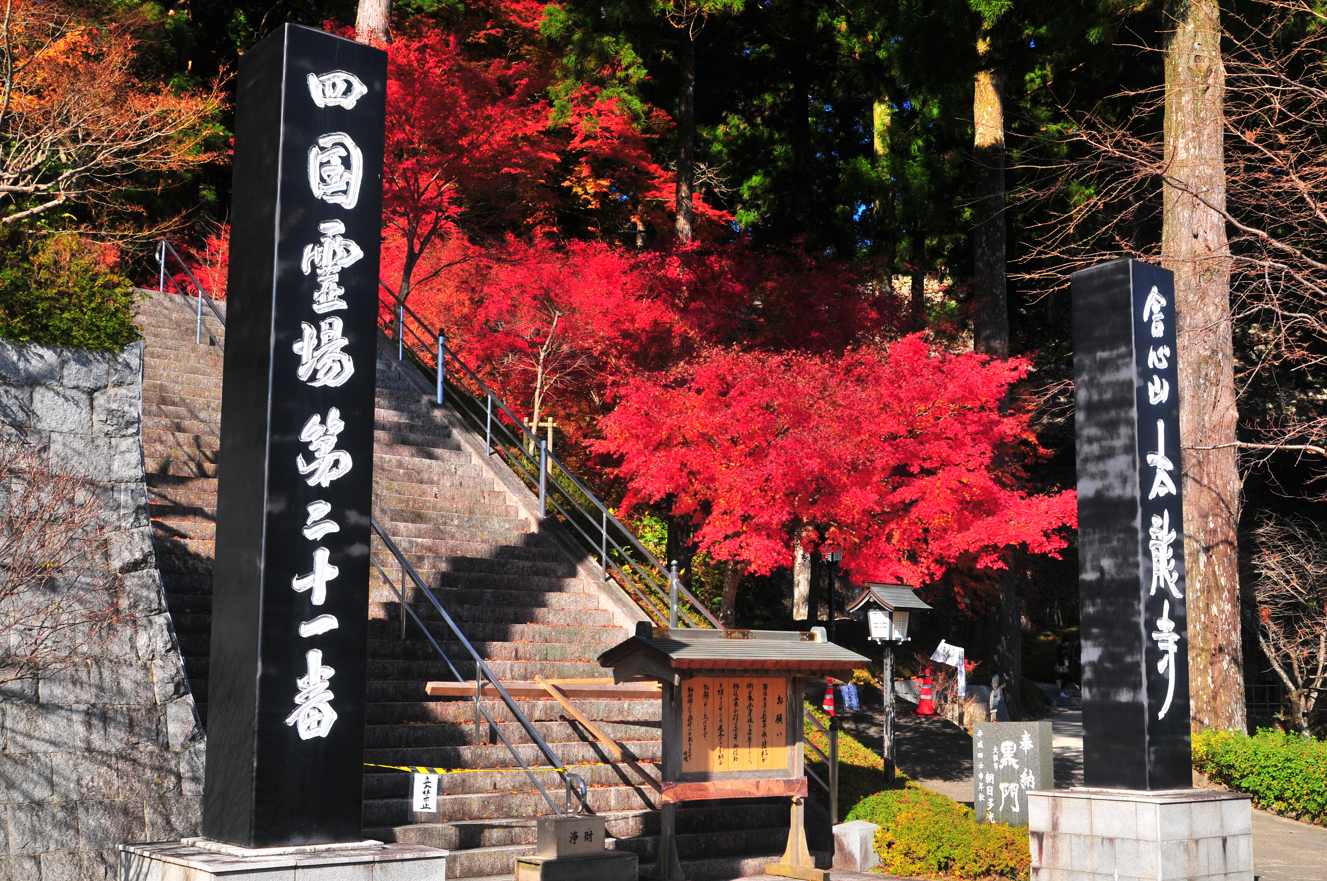 空海ゆかりの地・西の高野「太龍寺」へ | の観光情報は ai Tripper