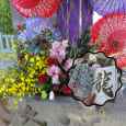 Tokushima Goshuin Stamp Journey! (Tokushima City Version ②)-fn3lncbbyxg4uhbf0qfb