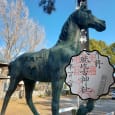 Tokushima Goshuin Stamp Journey! (Tokushima City Version ①)-ivfwegmtsw0vqbwog9fm