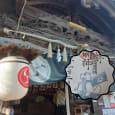 Tokushima Goshuin Stamp Journey! (Tokushima City Version ①)-tea3j43q0svkulfoddnv