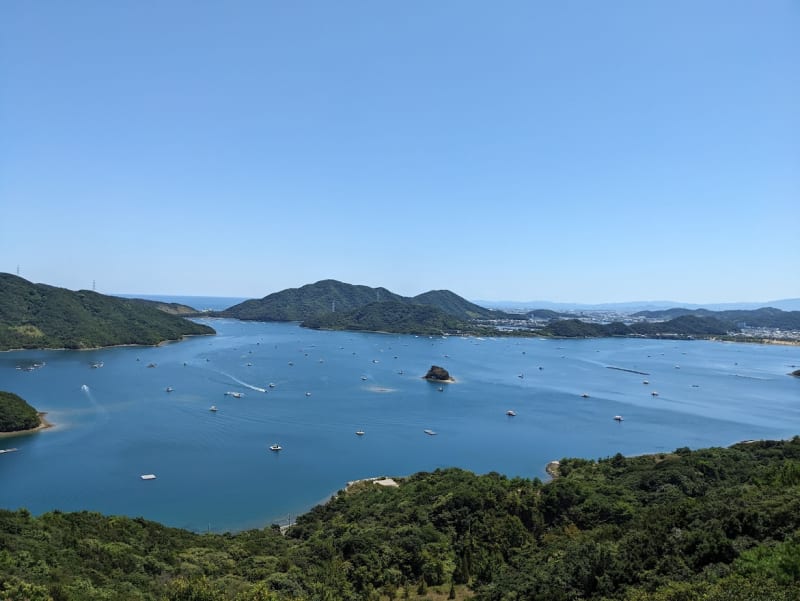 d7dcd787-c987-4b4b-9e9a-eedae2db9426.jpg