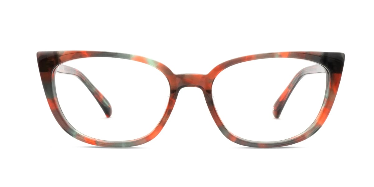 Cat Eye Tortoise Glasses-2