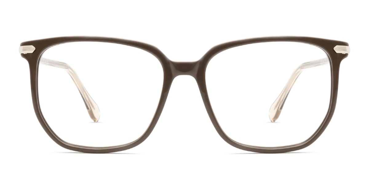 Brown Glasses Frames-2