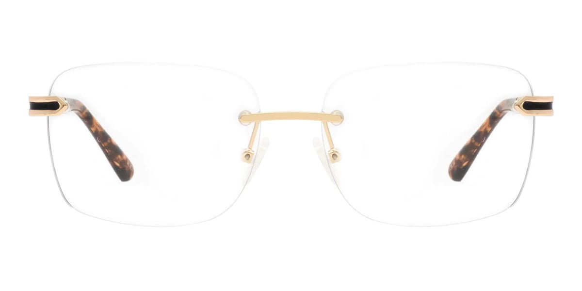 Gold and brown tortoise rimless frames-2
