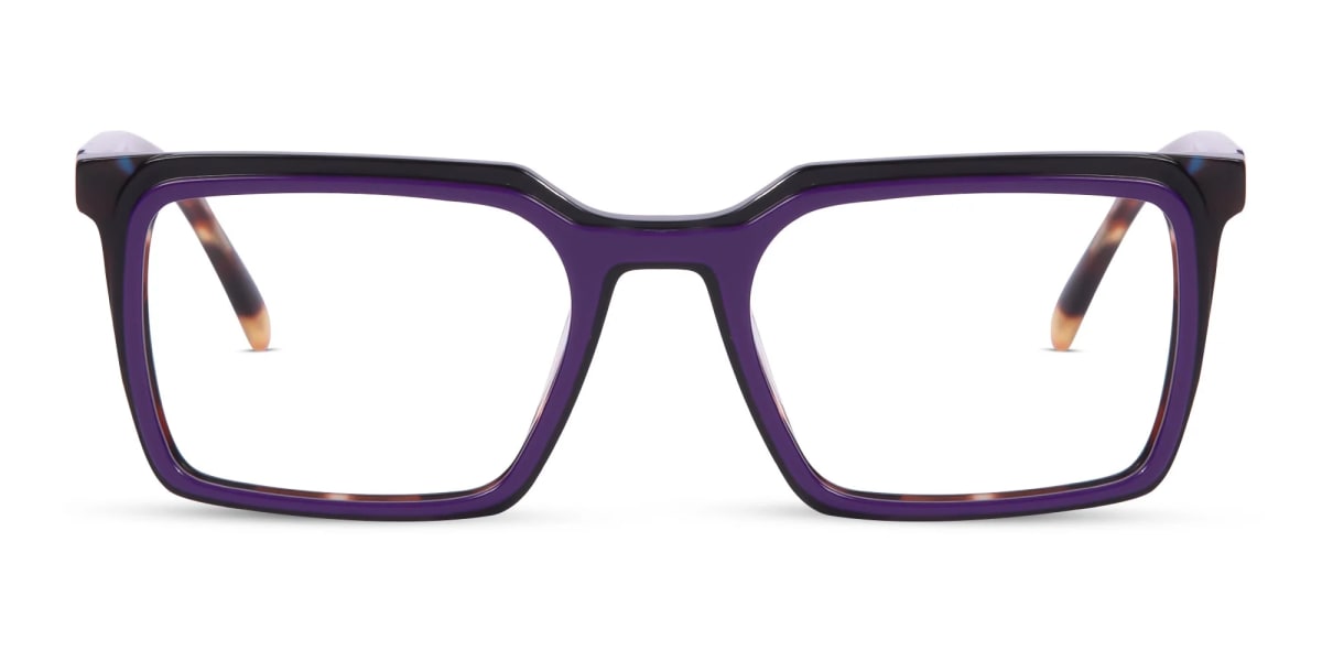 Purple Spectacle Frames-1