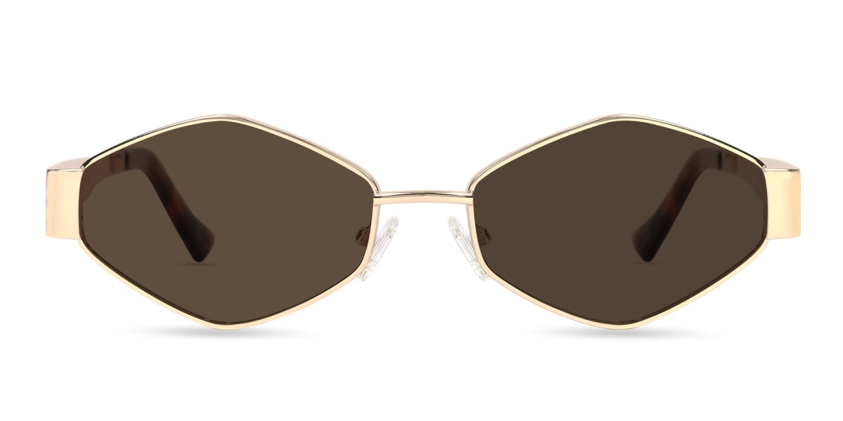 Champagne Gold & Tortoise Geometric Sunglasses-1
