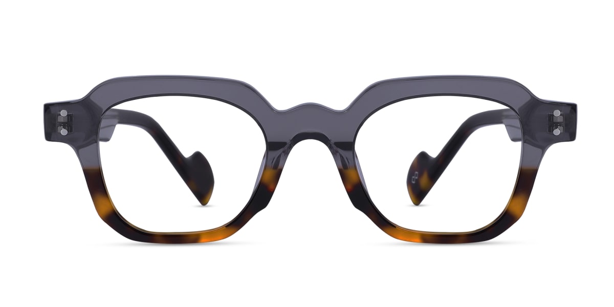 Grey Tortoise Shell Glasses-1