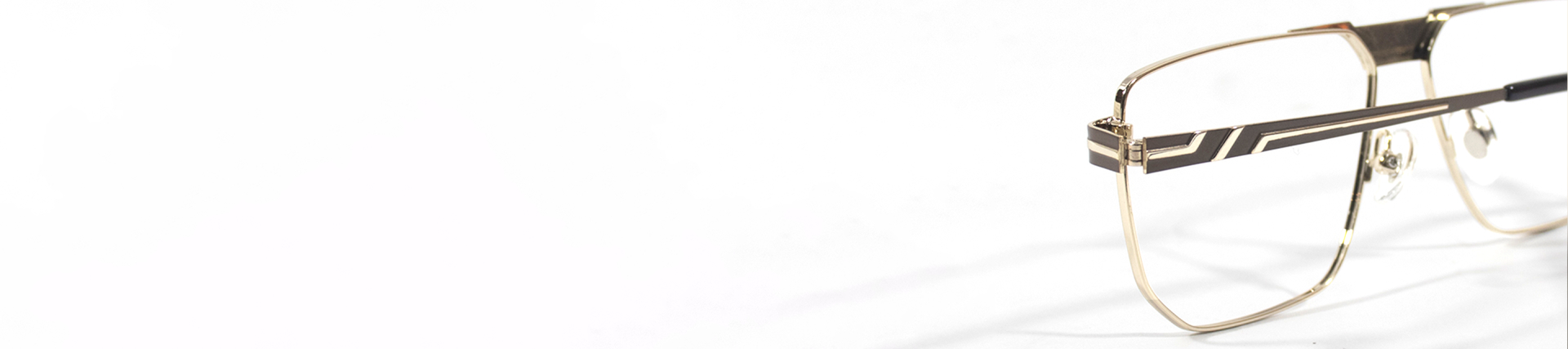 Spring Hinges Glasses