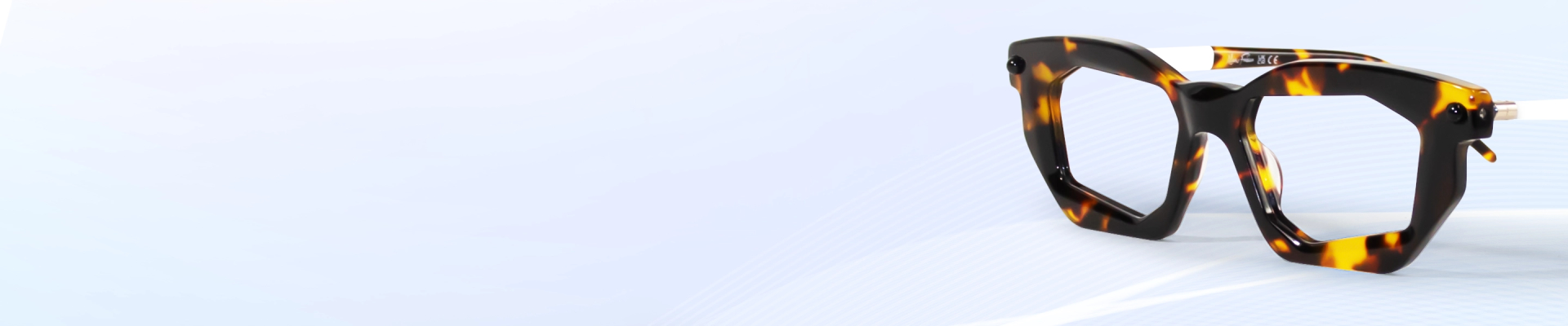 Tortoiseshell Glasses