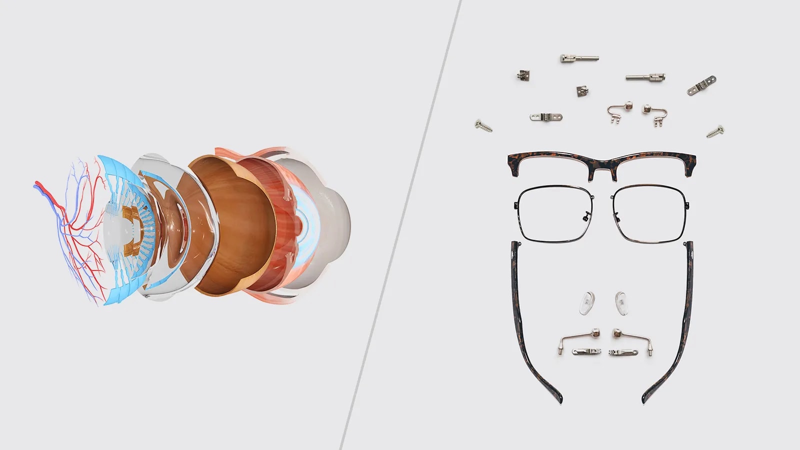 The only Glasses Glossary you’ll need