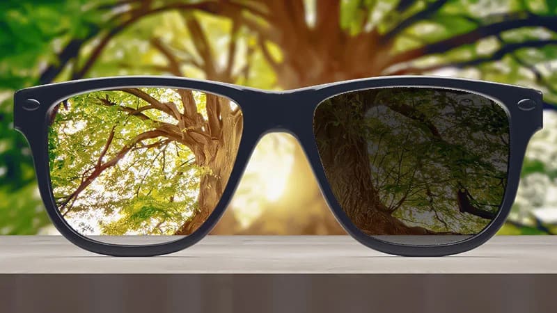 Pros and Cons of Transition glasses 