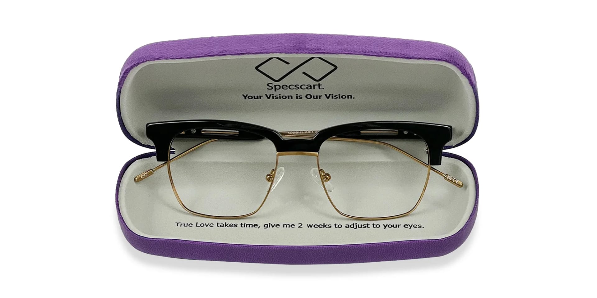 Purple Hard Case Eyeglass Case-2