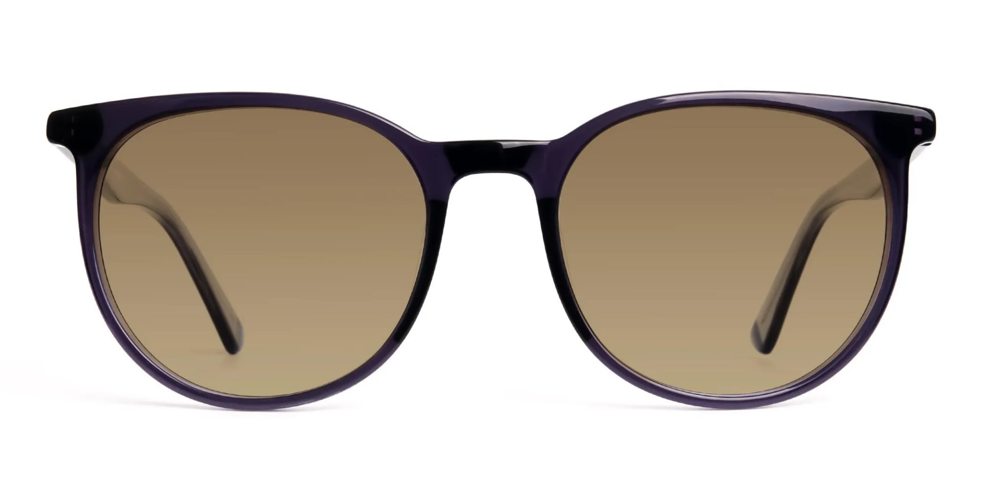 space-grey-round-designer-brown-tinted-sunglasses-frames-2