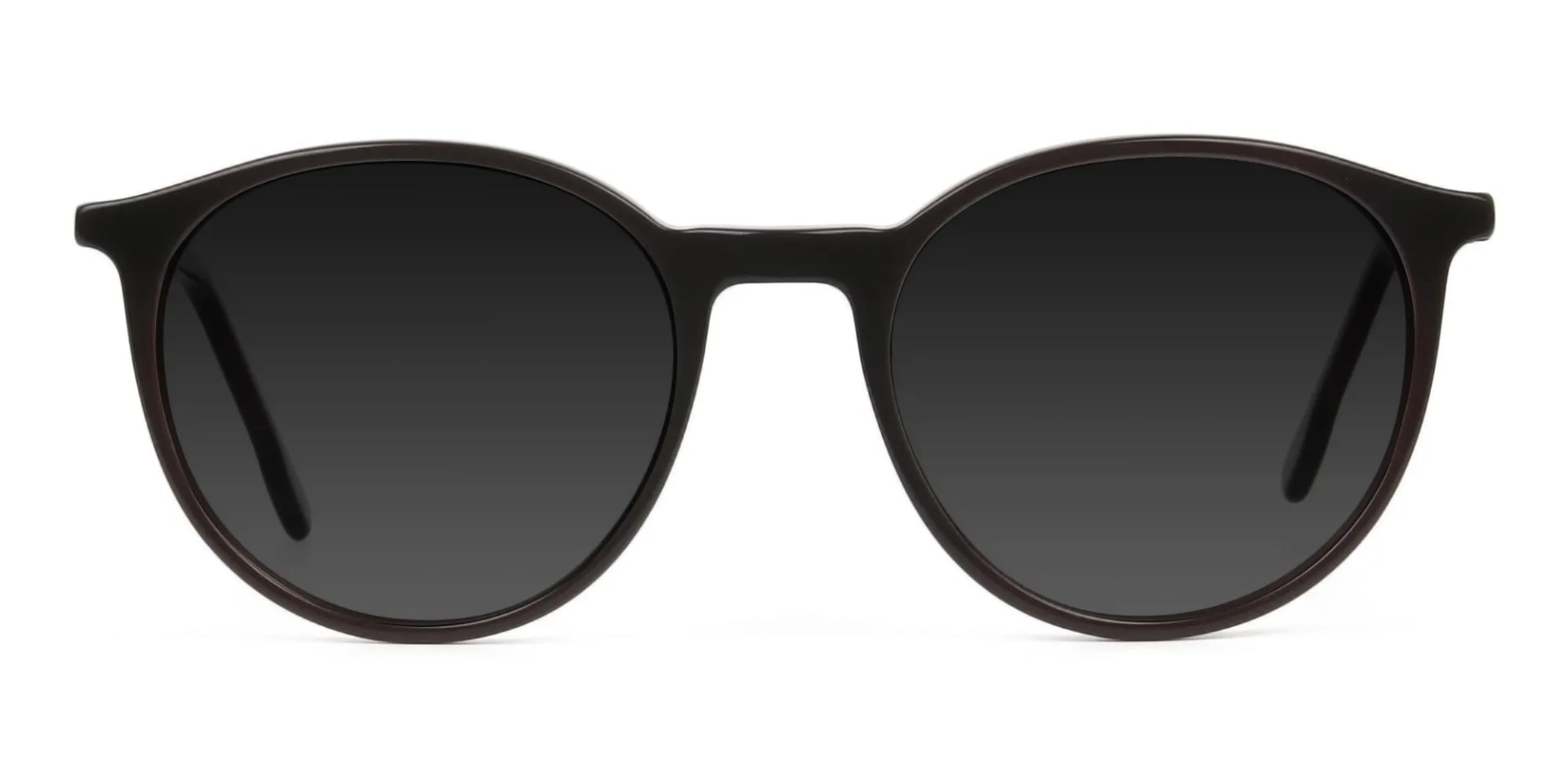 Dark-grey-tinted-dark-brown-sunglasses - 2