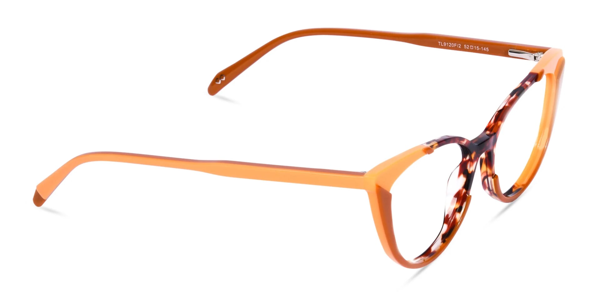 Dark Tortoise and Tan Brown Glasses-2