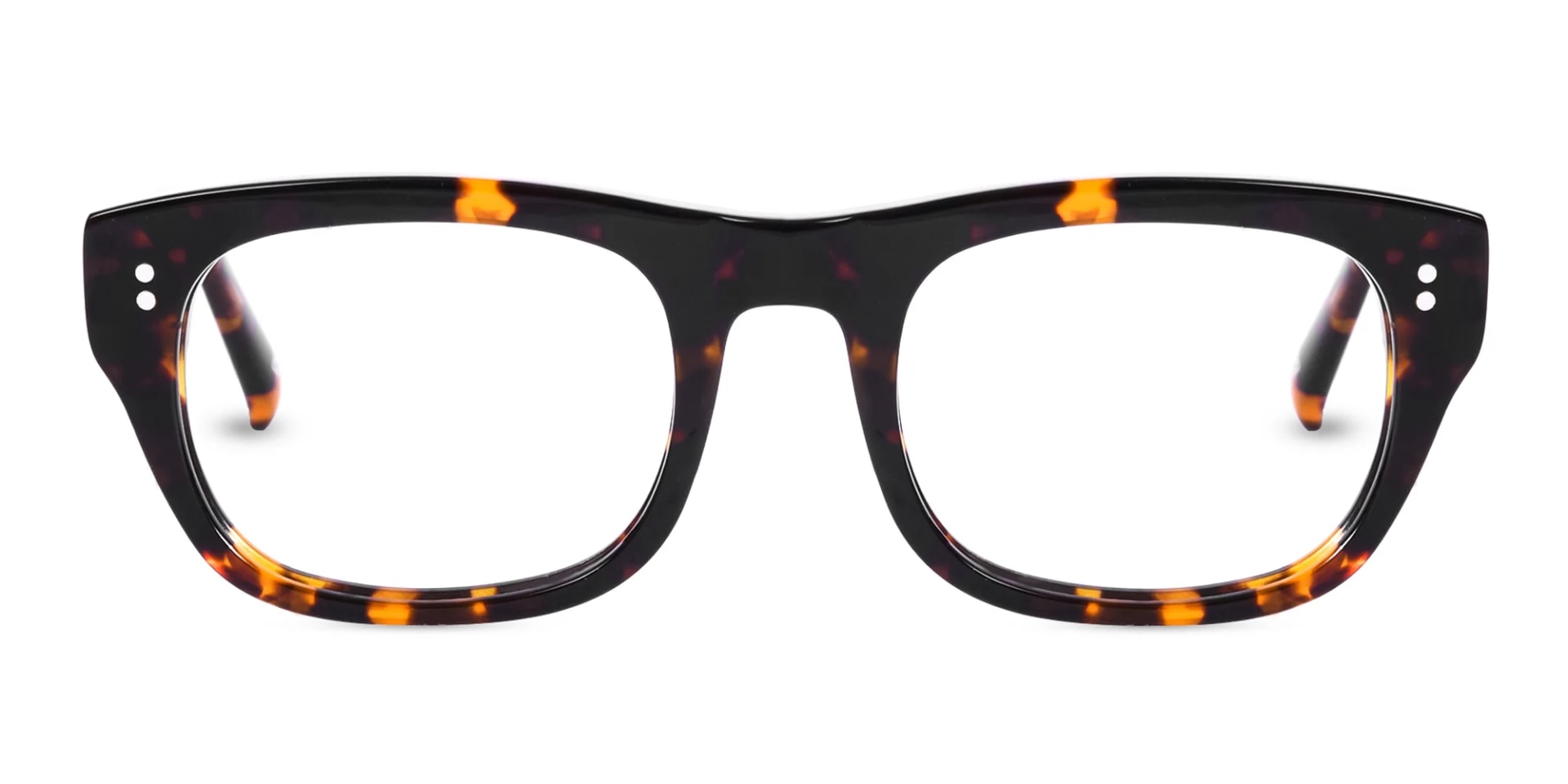 Havana Tortoise Glasses-1