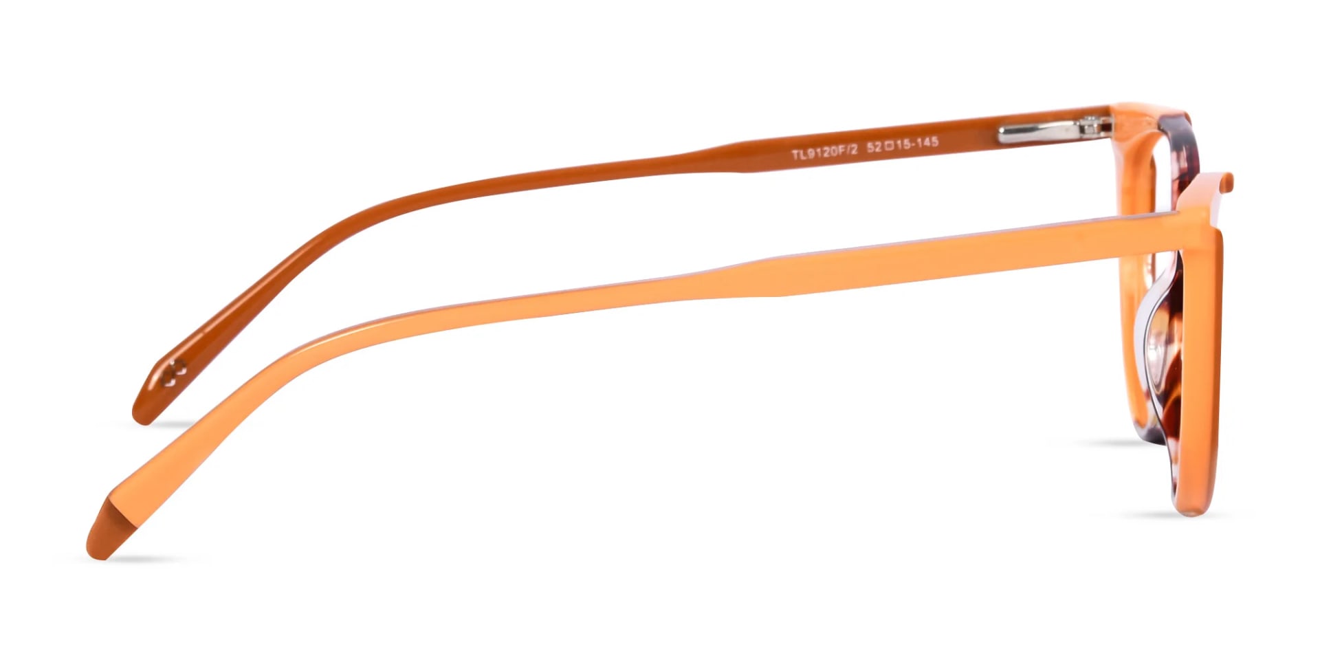 Dark Tortoise and Tan Brown Glasses-4