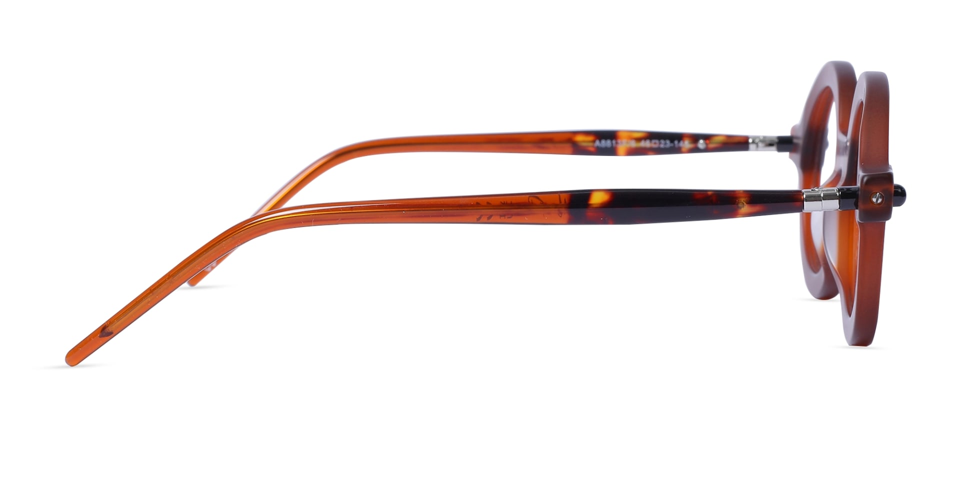 Chestnut Brown Round Oval Glasses 4