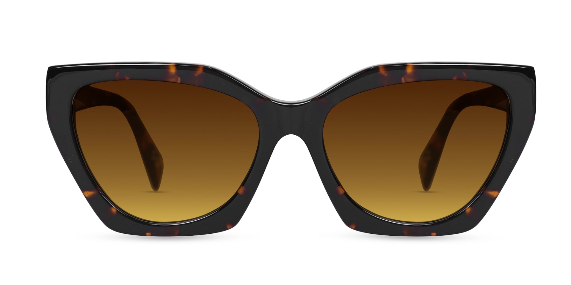 Honey Tortoise Cat-Eye Geometric Sunglasses-1
